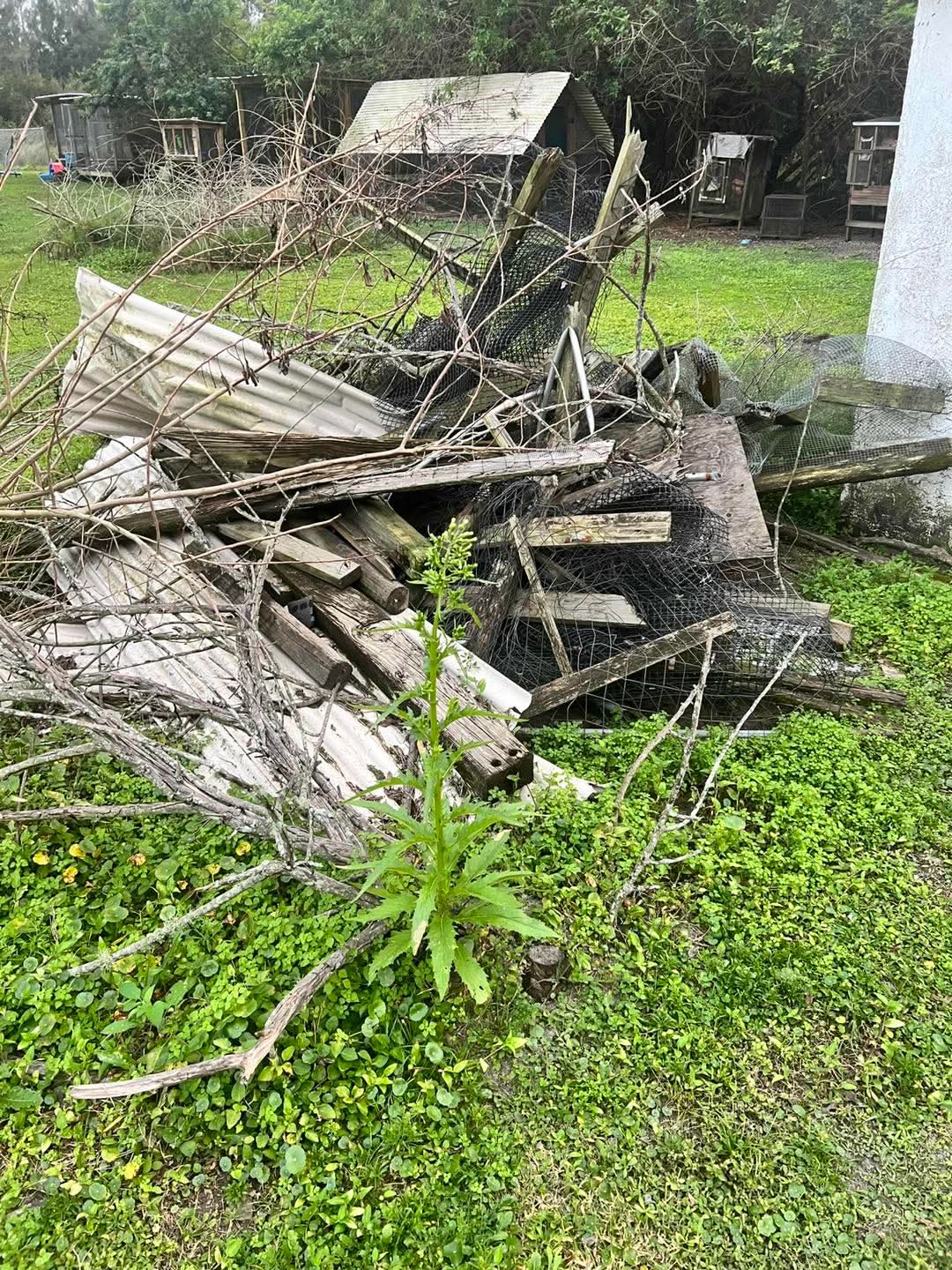 Highlight the differences between renting a dumpster and hiring a full-service junk removal team for your project.